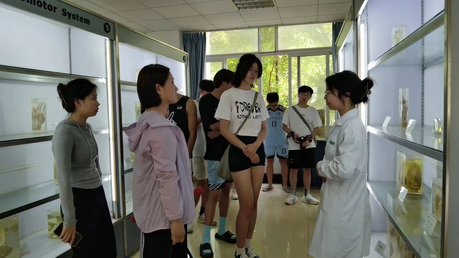 英国上市公司官网365