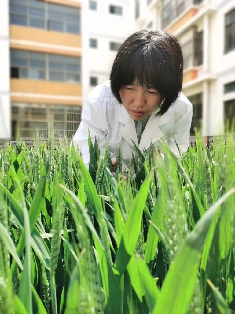 英国上市公司官网365