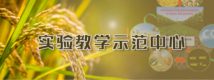 英国上市公司官网365