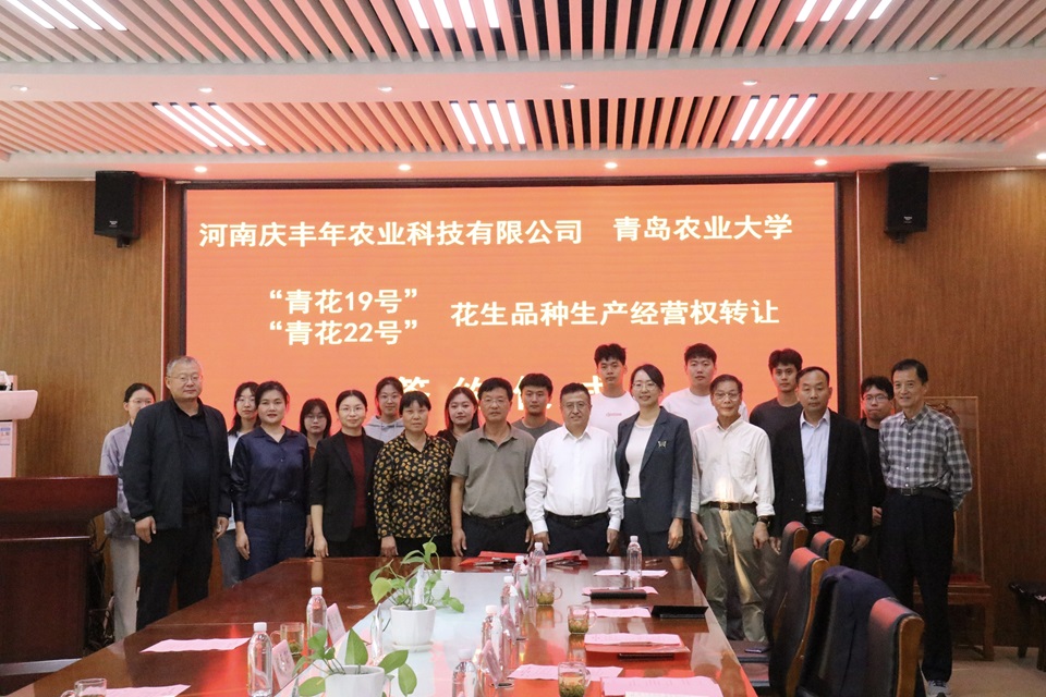 英国上市公司官网365