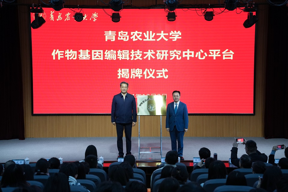 英国上市公司官网365