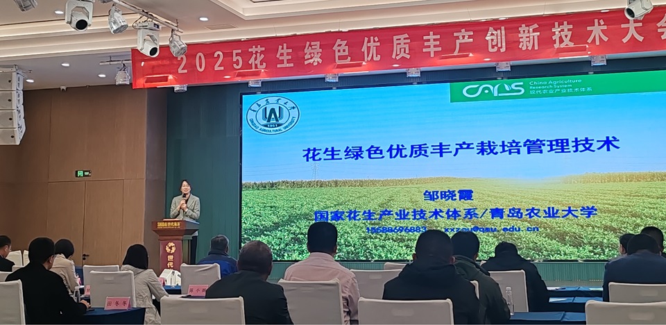 英国上市公司官网365