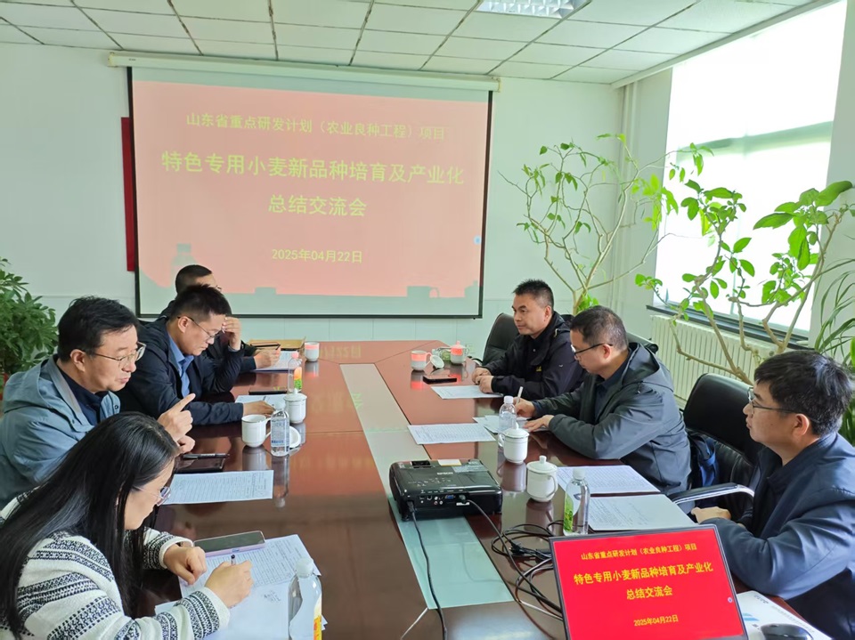 英国上市公司官网365