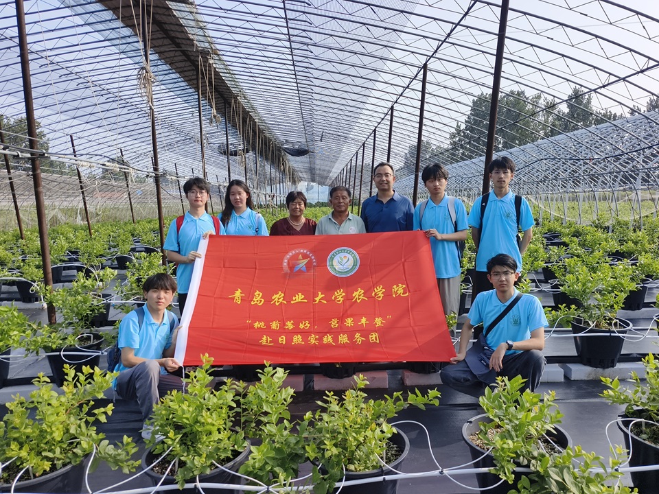英国上市公司官网365