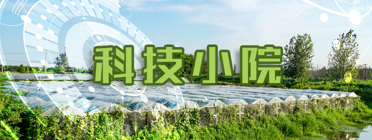 英国上市公司官网365